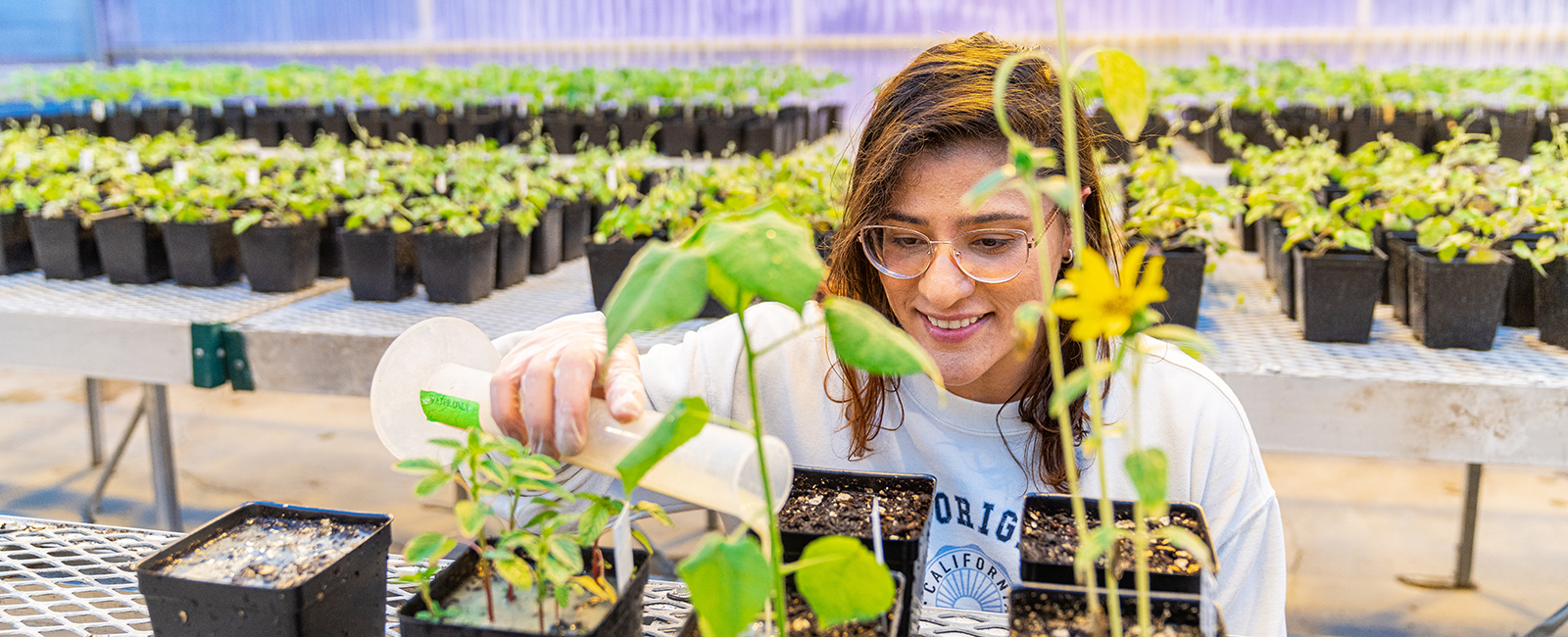 Student pours a liquid into a plant's pot.