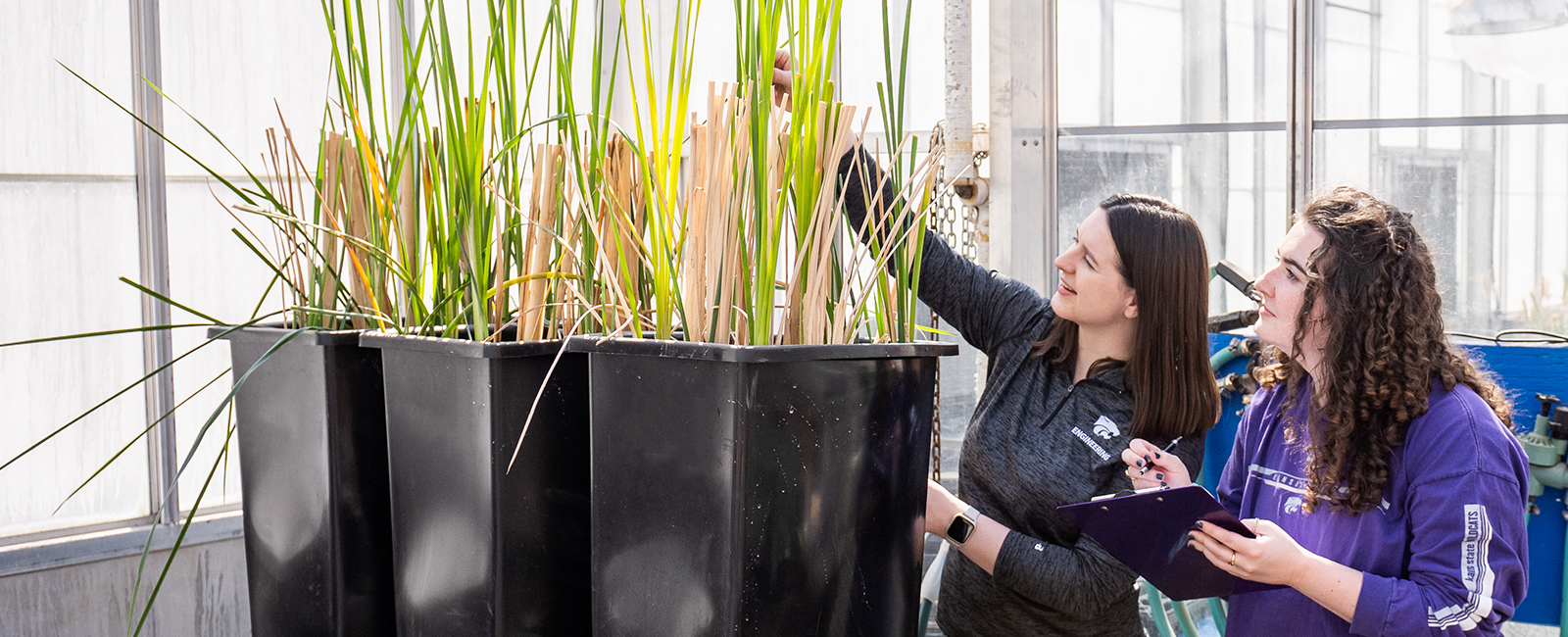 Two students take samples in a greenhouse.